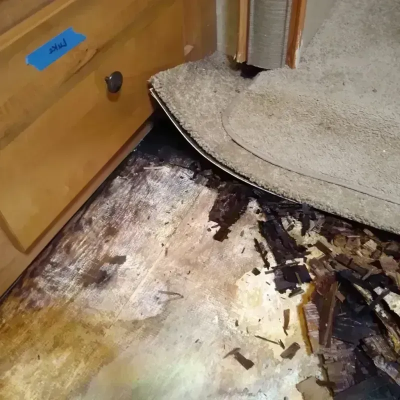 Best Wood Floor Water Damage Service in Sloan, NY